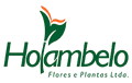 Holambelo - Loja Gran Flora